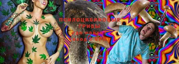 Альфа ПВП Алзамай