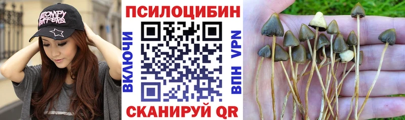 магазин  наркотиков  блэк спрут зеркало  Галлюциногенные грибы прущие грибы  Ленинск 